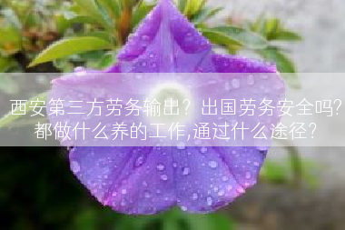 西安第三方劳务输出？出国劳务安全吗?都做什么养的工作,通过什么途径？