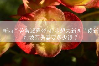 新西兰劳务派遣公司?我想去新西兰或新加坡劳务需要多少钱.?
