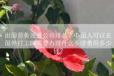 出国劳务派遣公司排名？中国人可以去国外打工吗需要办理什么手续费用多少钱？