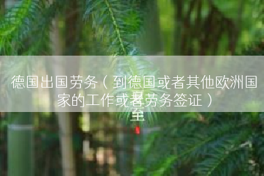 德国出国劳务（到德国或者其他欧洲国家的工作或者劳务签证）