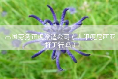 出国劳务正规派遣公司（去印度尼西亚打工行吗）