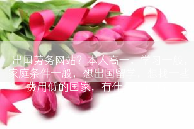 出国劳务网站？本人高一，学习一般，家庭条件一般，想出国留学，想找一些费用低的国家，有什么建议吗？