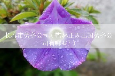 长春市劳务公司（吉林正规出国劳务公司有哪些?）