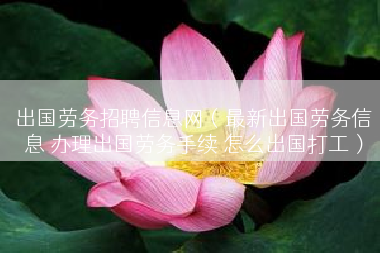 出国劳务招聘信息网（最新出国劳务信息 办理出国劳务手续 怎么出国打工）