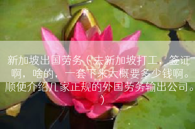 新加坡出国劳务（去新加坡打工，签证啊，啥的，一套下来大概要多少钱啊。顺便介绍几家正规的外国劳务输出公司。）