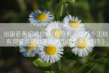 出国劳务招聘信息(有没有人推荐个正规有商务部审批资质的出国劳务公司？)