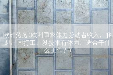 欧洲劳务(欧洲国家体力劳动者收入，我想出国打工，没技术有体力，适合干什么工作？)