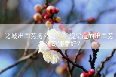 诸城出国劳务公司？正规渠道的出国劳务公司哪家好？