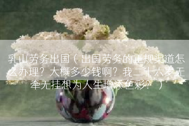 乳山劳务出国（出国劳务的正规渠道怎么办理？大概多少钱啊？我二十六岁无牵无挂想为人生增添色彩？）
