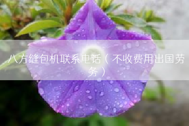 八方缝包机联系电话（不收费用出国劳务）