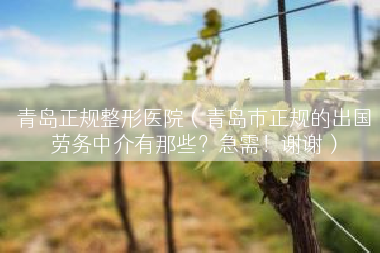 青岛正规整形医院（青岛市正规的出国劳务中介有那些？急需！谢谢）