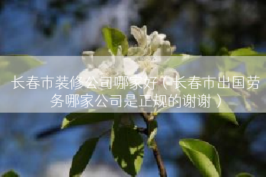 长春市装修公司哪家好（长春市出国劳务哪家公司是正规的谢谢）