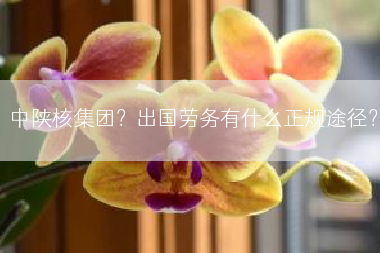 中陕核集团？出国劳务有什么正规途径？