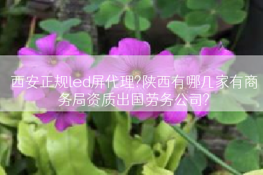 西安正规led屏代理?陕西有哪几家有商务局资质出国劳务公司?