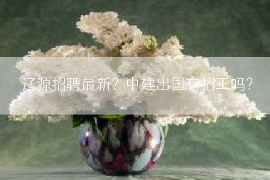 辽源招聘最新？中建出国有招工吗？