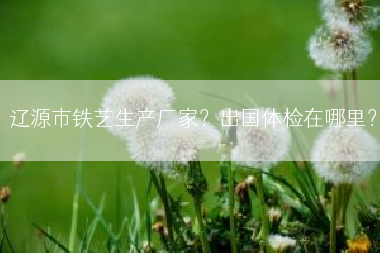 辽源市铁艺生产厂家？出国体检在哪里？