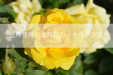 迪拜费用？迪拜打工一个月多少钱？