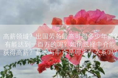 高薪领域？出国劳务最高可得多少年薪？有能达到一百万的吗？如何选择中介能获得高薪？薪水与中介是哪家有关系吗？