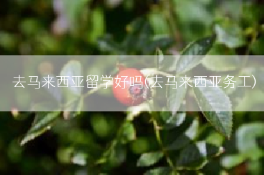 去马来西亚留学好吗(去马来西亚务工)