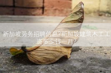 新加坡劳务招聘信息?新加坡建筑木工工资多少钱一月?