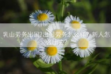 乳山劳务出国?出国劳务怎么样？新人怎么出去?