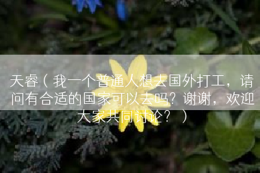 天睿（我一个普通人想去国外打工，请问有合适的国家可以去吗？谢谢，欢迎大家共同讨论？）