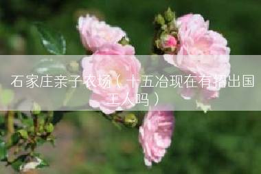石家庄亲子农场（十五冶现在有招出国工人吗）