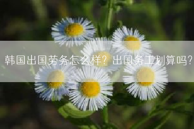 韩国出国劳务怎么样？出国务工划算吗？