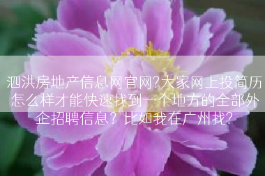 泗洪房地产信息网官网?大家网上投简历怎么样才能快速找到一个地方的全部外企招聘信息？比如我在广州找?