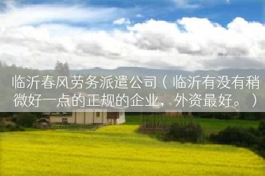临沂春风劳务派遣公司（临沂有没有稍微好一点的正规的企业，外资最好。）