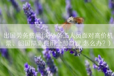 出国劳务费用(海外务工人员面对高价机票、回国隔离费用全部自理,怎么办？)