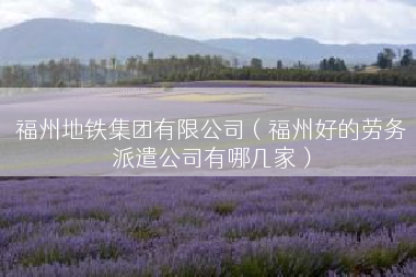 福州地铁集团有限公司（福州好的劳务派遣公司有哪几家）