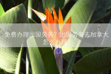 免费办理出国劳务？出国劳务去加拿大怎么办理？