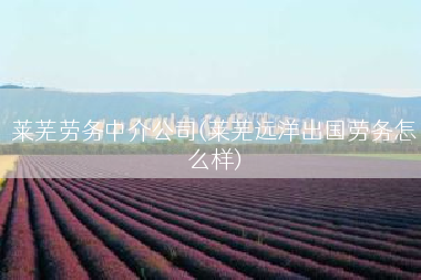 莱芜劳务中介公司(莱芜远洋出国劳务怎么样)