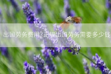 出国劳务费用?正规出国劳务需要多少钱?