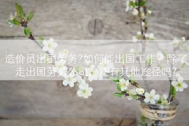 造价员出国劳务?如何能出国工作？除了走出国劳务公司，还有其他途径吗?