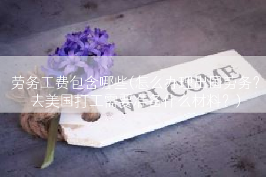 劳务工费包含哪些(怎么办理出国劳务？去美国打工需要准备什么材料？)