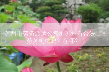 苏州市劳务派遣公司（苏州有合法出国劳务机构吗？在哪？）
