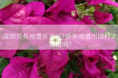深圳劳务派遣许可证?劳务派遣出国打工靠谱吗?