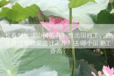 长春新加坡出国劳务？想出国打工，应该通过哪种渠道找工作？去哪个国家工资高？