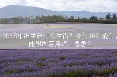 2018年出生属什么生肖？今年18刚成年，能出国劳务吗，急急？