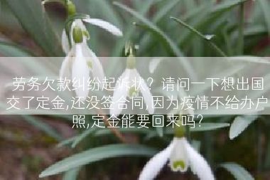 劳务欠款纠纷起诉状？请问一下想出国交了定金,还没签合同,因为疫情不给办户照,定金能要回来吗？