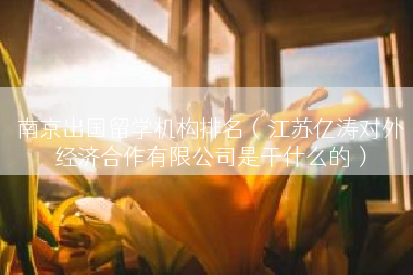 南京出国留学机构排名（江苏亿涛对外经济合作有限公司是干什么的）