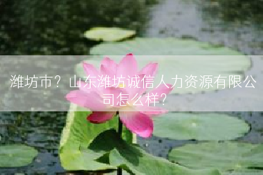 潍坊市？山东潍坊诚信人力资源有限公司怎么样？