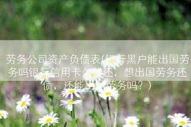 劳务公司资产负债表(银行黑户能出国劳务吗银行信用卡欠钱还，想出国劳务还债，还能出国劳务吗？)