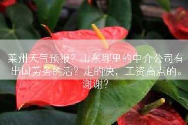 莱州天气预报？山东哪里的中介公司有出国劳务的活？走的快，工资高点的。谢谢？