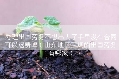 办理出国劳务不想出去了手里没有合同可以退费吗（山东地区正规的出国劳务有哪家）