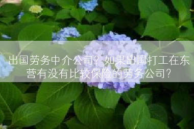 出国劳务中介公司？如果出国打工在东营有没有比较保险的劳务公司？