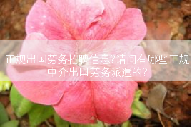 正规出国劳务招聘信息?请问有哪些正规中介出国劳务派遣的?