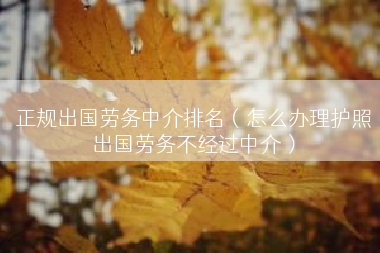 正规出国劳务中介排名（怎么办理护照出国劳务不经过中介）